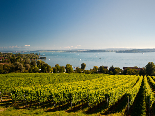 Radtour Bodensee